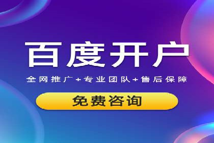 案例分析：竞价推广实战中的困境与突破